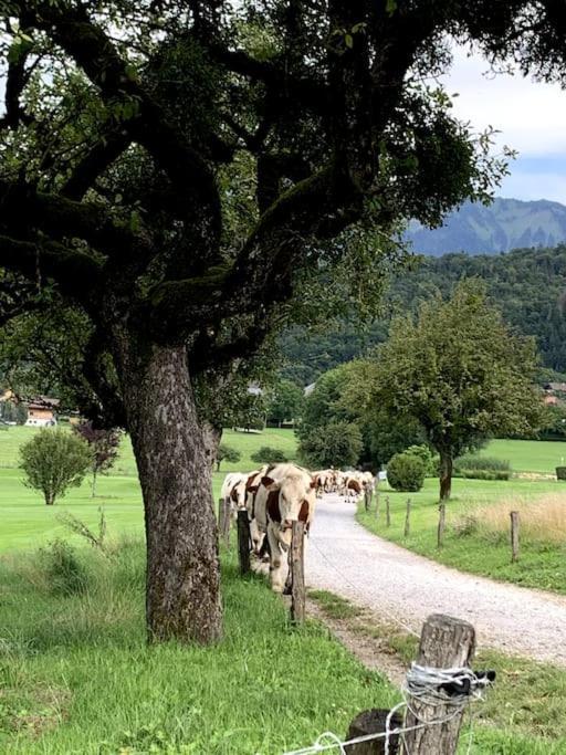Petit cocon entre lac, golf et montagne proche d'Annecy- Séjour tout compris Giez Exterior foto